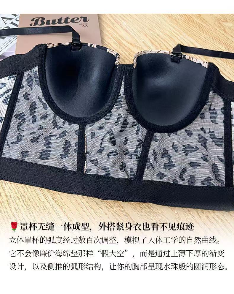 161c95aa-6d17-4b3c-a55c-9637911bdd6d